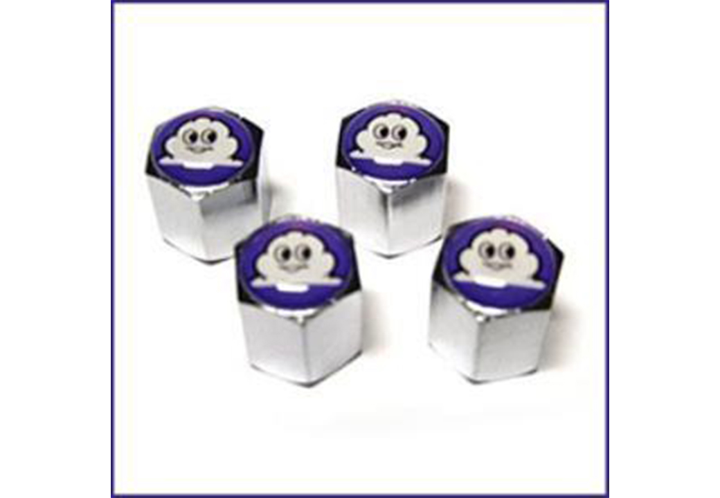 SIBOP KAPAGI METAL MICHELIN LOGOLU SS-AVC-06