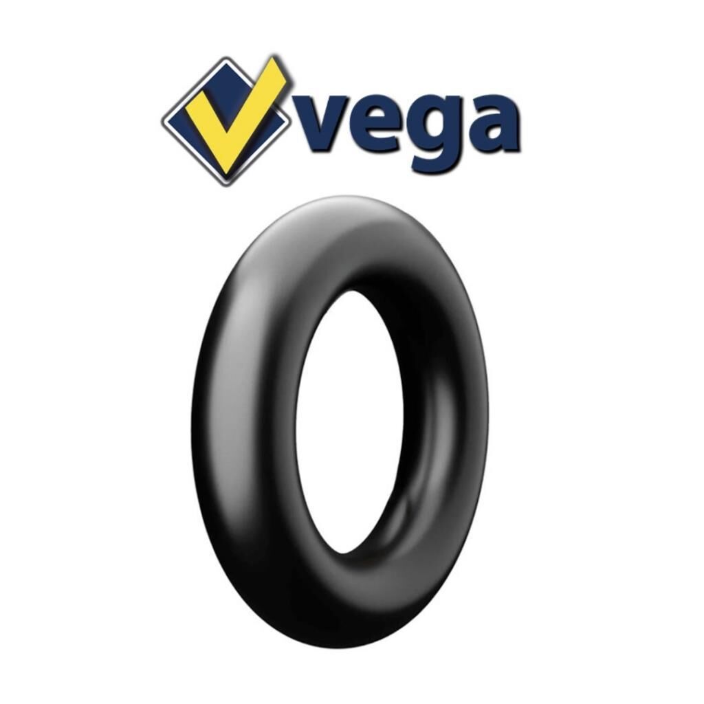 16.9/14/15-38 TR218A İç lastik (3) VEGA (169143818415381538)
